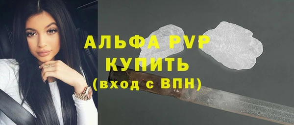 индика Аркадак