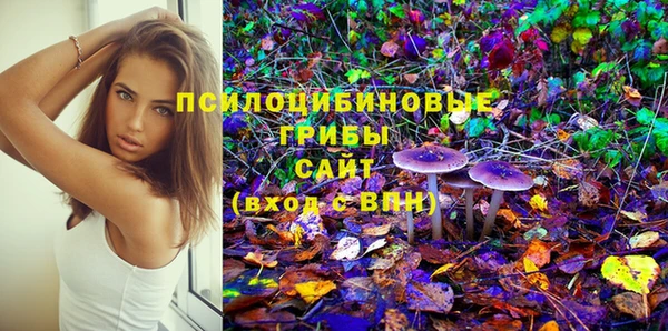 индика Аркадак