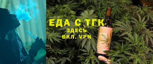 индика Аркадак