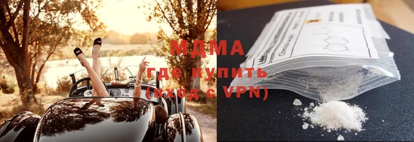 индика Аркадак