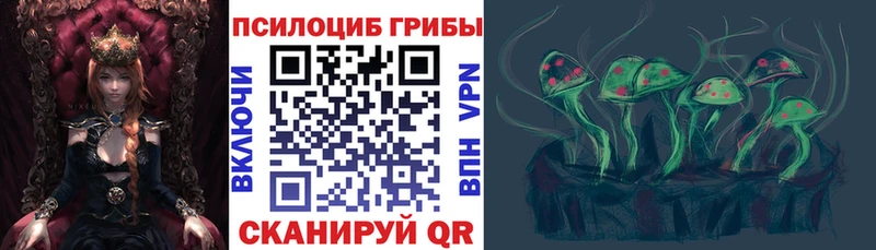 Купить  Светлогорск  Псилоцибиновые грибы прущие грибы 