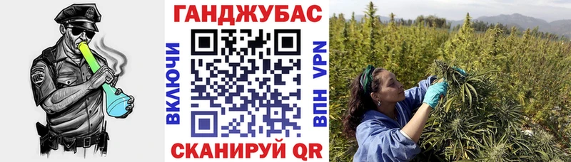 Купить закладки  Светлогорск  Шишки марихуана тримм 